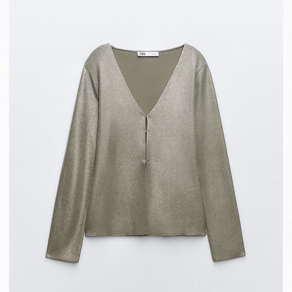 ZARA Top
